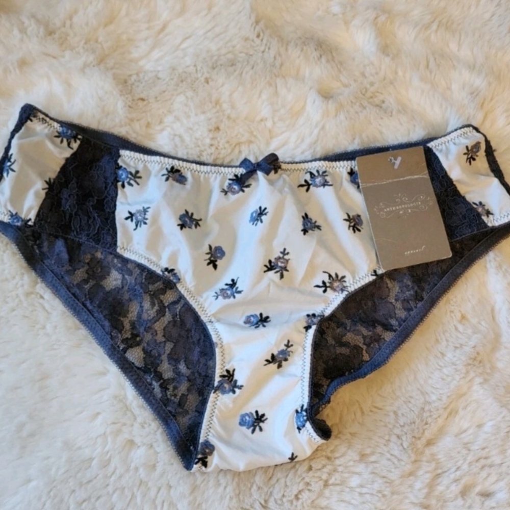 Anthropologie Blue and White Lace Trim Panties